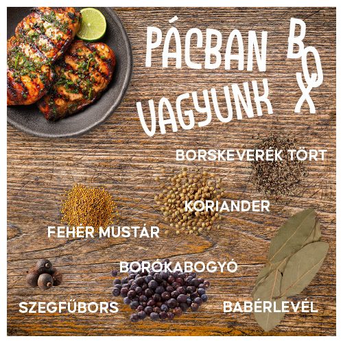 Pácban vagyunk Box