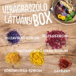 Virágraszóló látvány Box